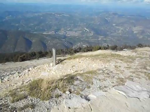 ils nous font rêver de:vera