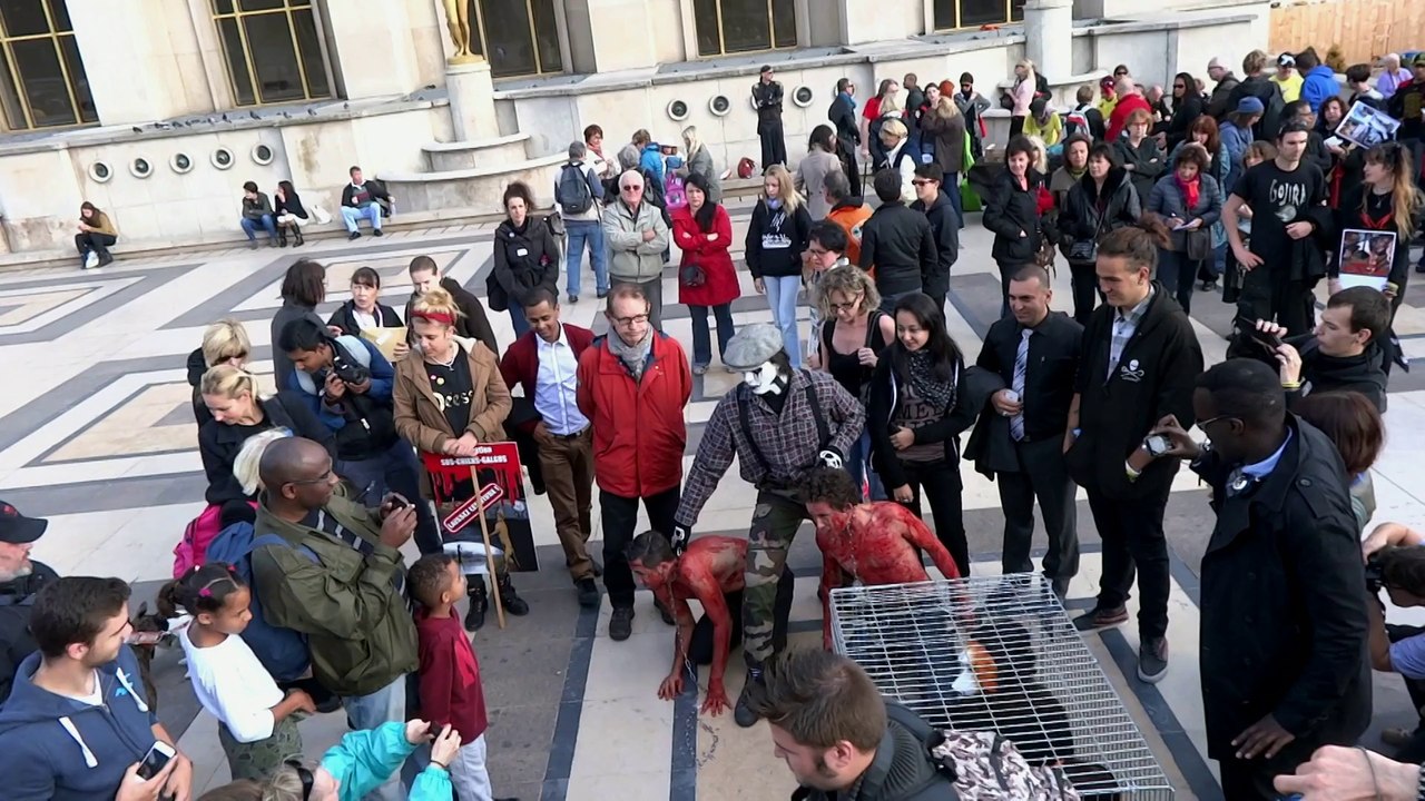 rassemblement pour les lévriers à Paris