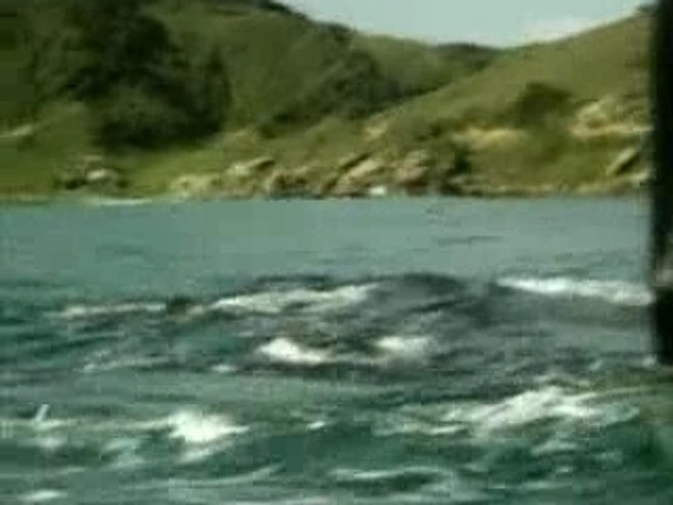 SURF - Longboard Brésil