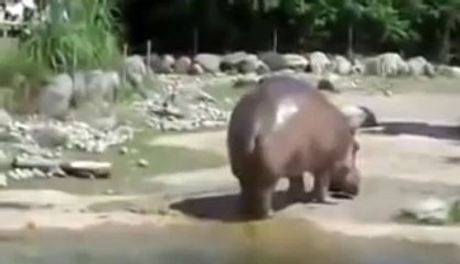 Scoreggia Più  forte del mondo