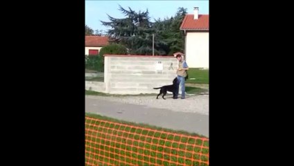 Hirris entrainement rapport avec 2 sauts aller retour