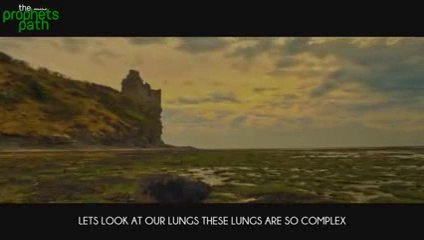 How-Amazing-Are-We----Mind-Blowing-Reminder