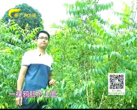 第一书记 北大学子养鸭致富计划 20141024