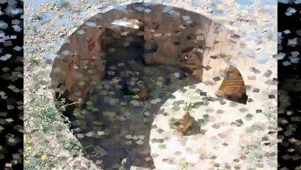 Aeródromo de Alfés (Alfés) Lleida