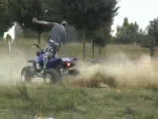 Quad moto stunt ...