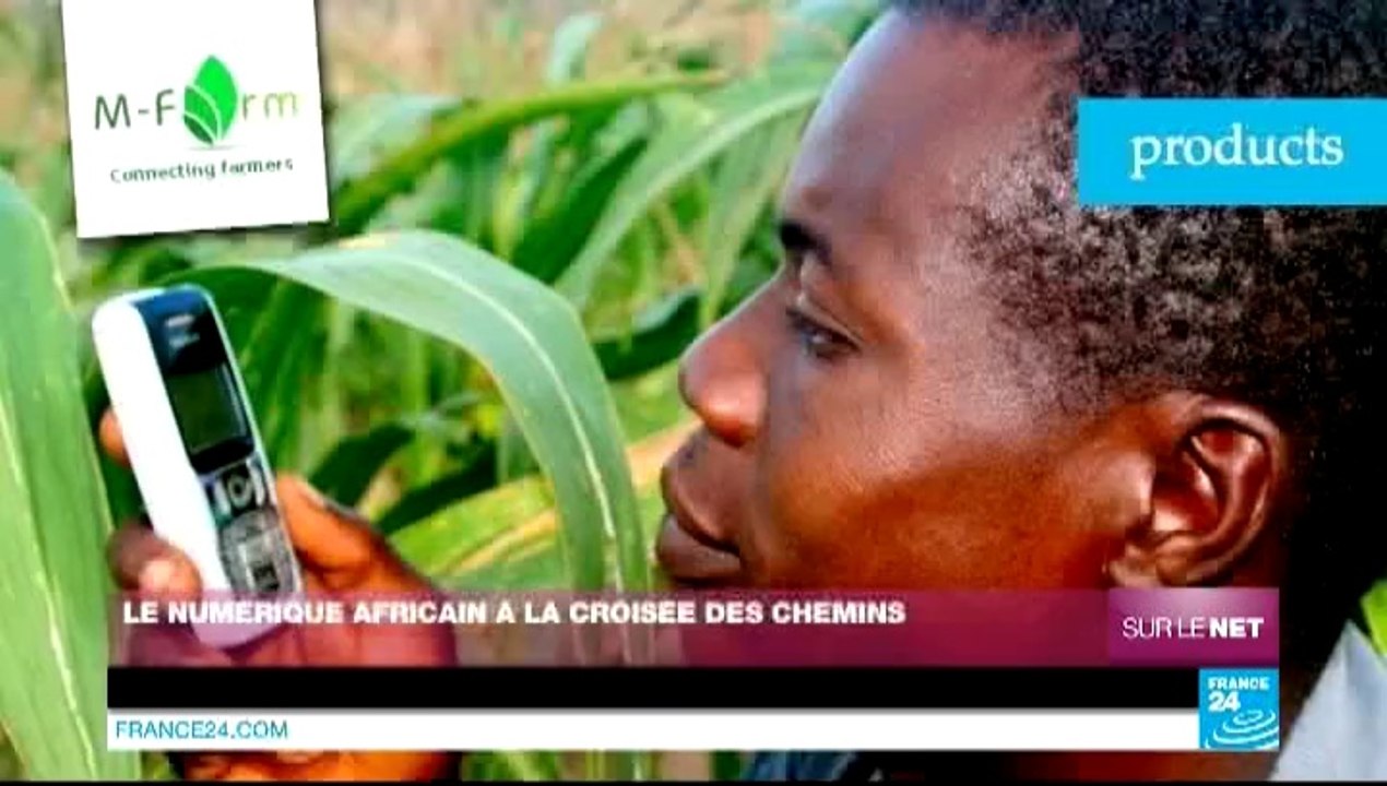 Sur le Net - Le numérique africain à la croisée des chemins