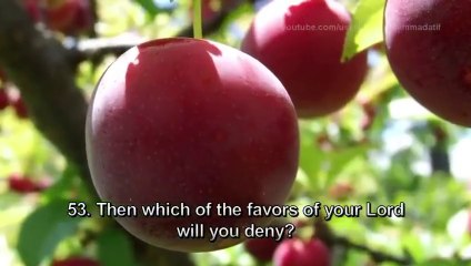 Surah Rahman - Mishary Rashid Al Afasy سورة الرحمن - مشاري العفاسي _ Tune.pk