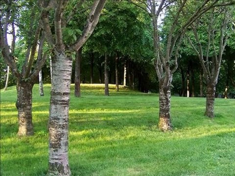 Aimerais-tu te relaxer - Méthode Colin - Rép. Comp. 5