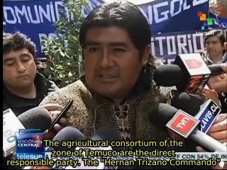 Chile: Mapuche people mobilize and demand land restitution