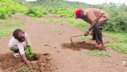 The Last Train Home - The Beatniks of Babylon