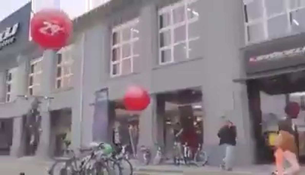 bikescale fly