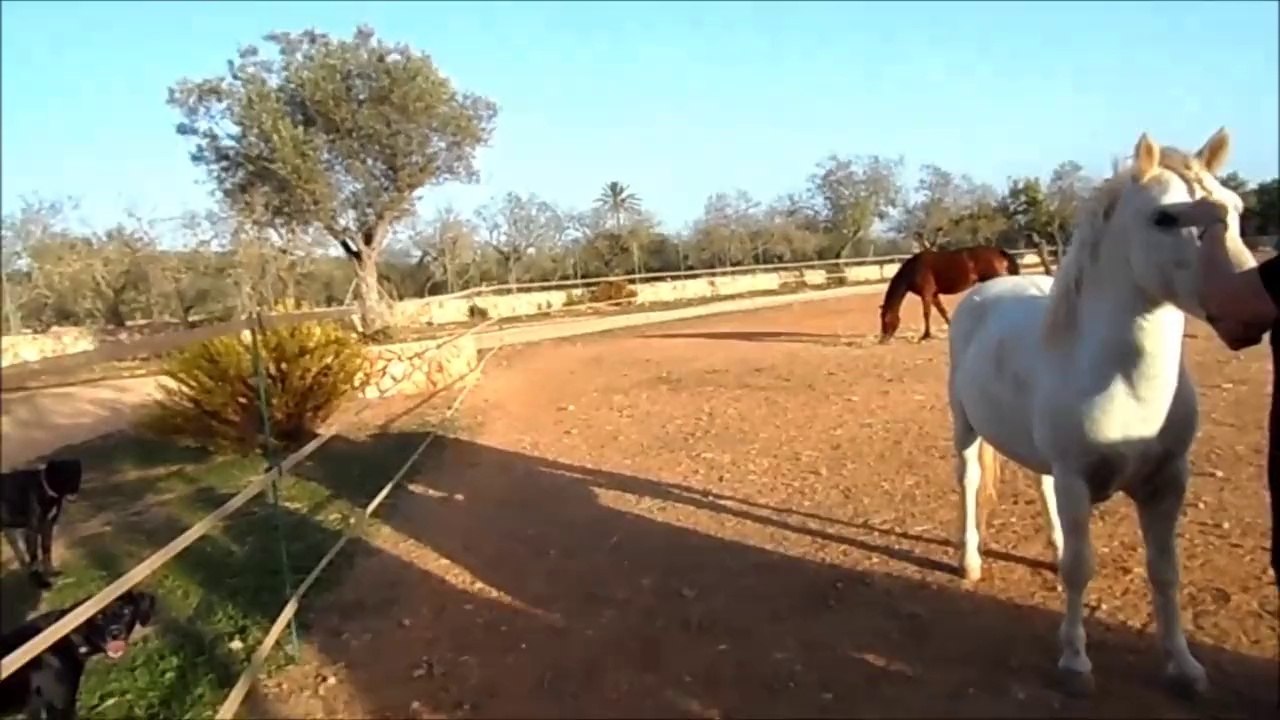 'Rancho Respeto' auf Mallorca