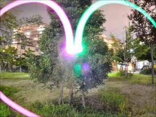 ピカピカムービー5組フレンズ