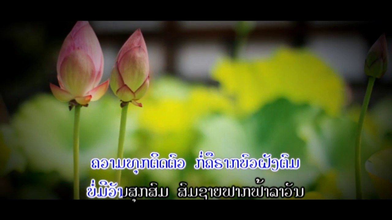 ເຊື້ອດອກບົວ Official