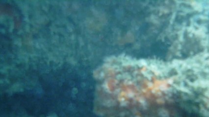 Praia da Picinguaba, Mares, Cavernas Submarinas, Ubatuba, SP, Brasil, Marcelo Ambrogi, (11b)
