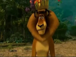 King Lion Is Talking With Zebras