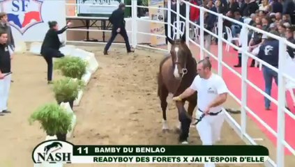 Ventes NASH 2014 26 octobre 2014