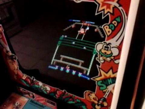 Donkey Kong 3 Arcade 1,139,500 Points