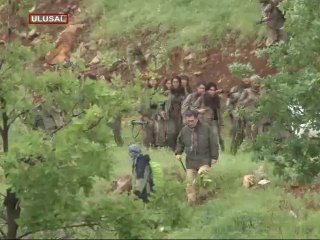 Perinçek: PKK'nın itibarı sıfır oldı