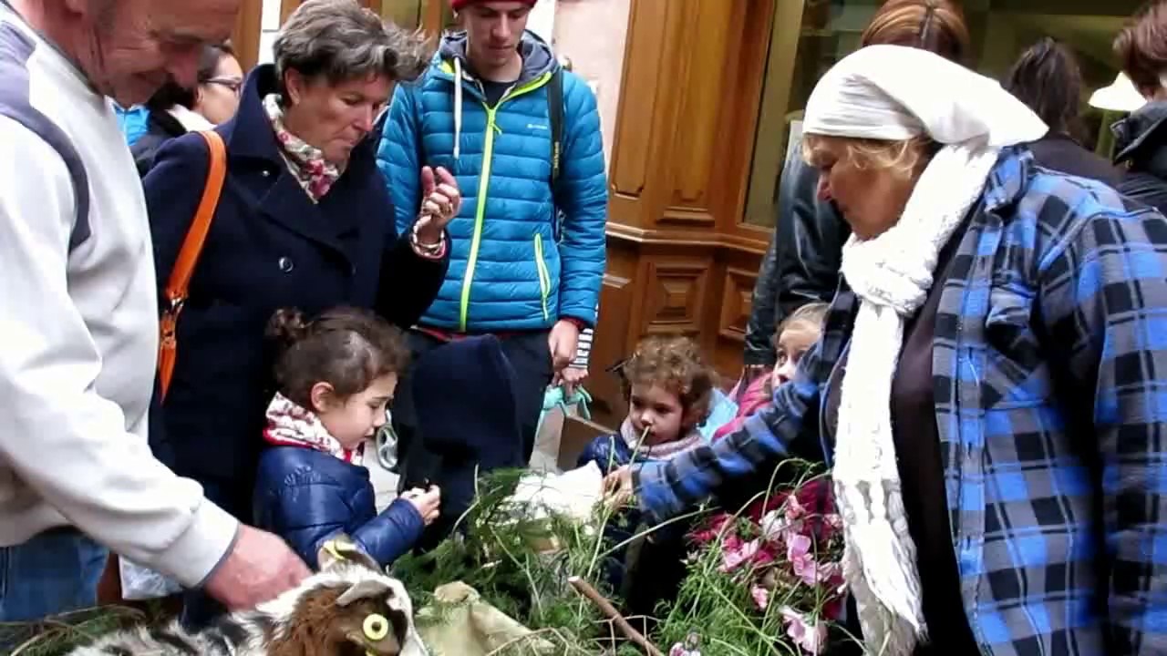 Démontagnée à Bourg Saint Maurice : les troupeaux ont défilé dans les rues