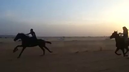 Horse rider fall down