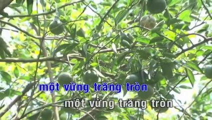 Duyên Quê - Cẩm Ly & Quốc Đại (Karaoke Beat)