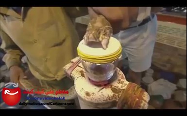 شاهد ماذا يحدث لدم البشر عند اقتراب سم الافعى اليه !!