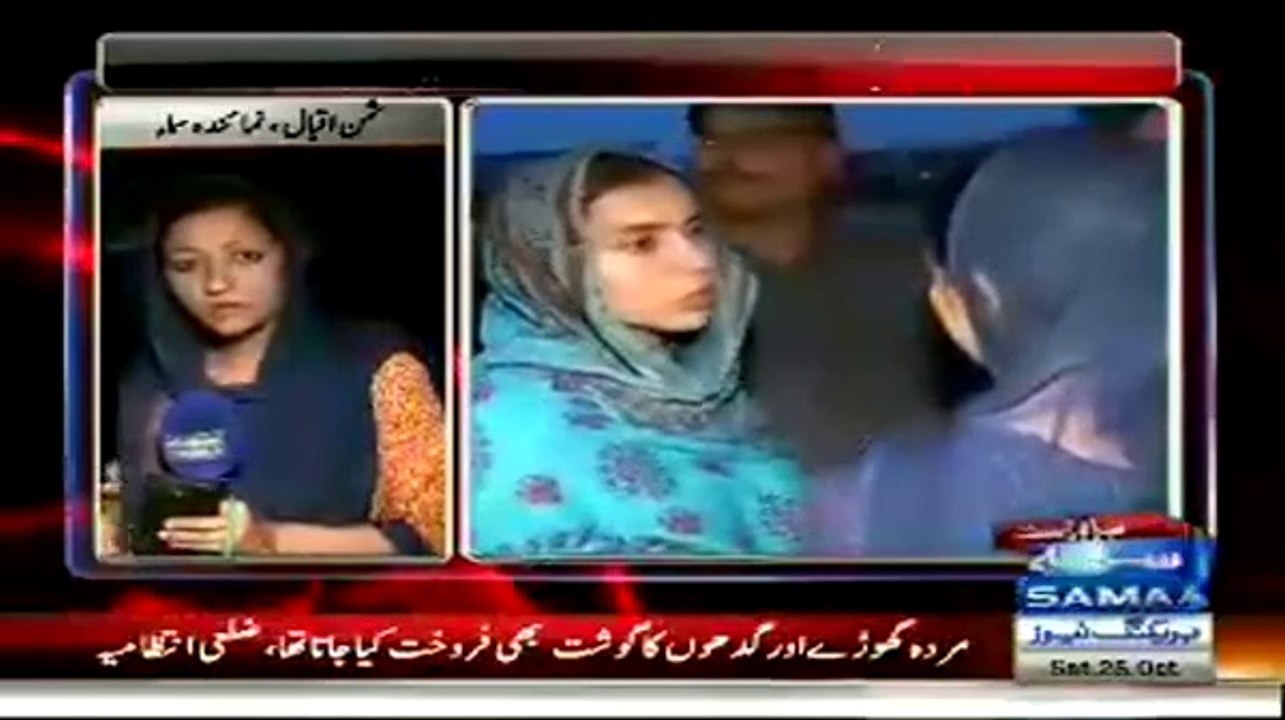 Two Men Held For Selling De-ad Horses & Donkeys Meat In Lahore Markets