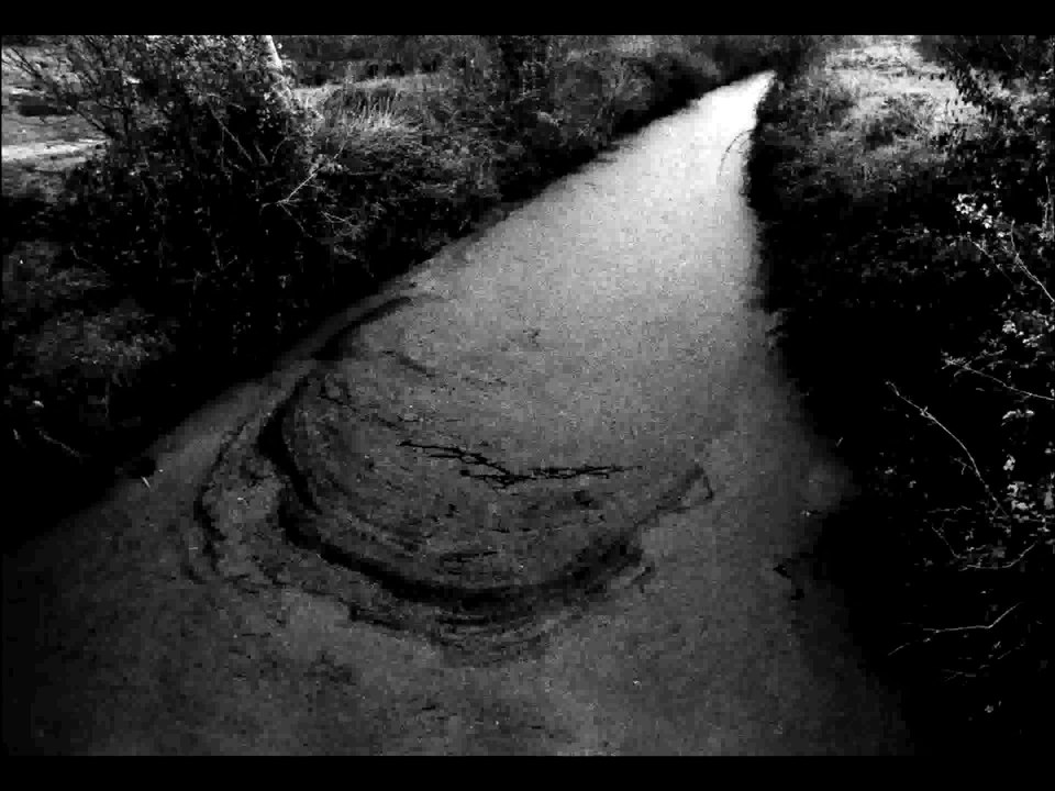 Maillezais, abbaye de pierre et d'eau