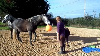 Thoranche joue avec le ballon (débuts)