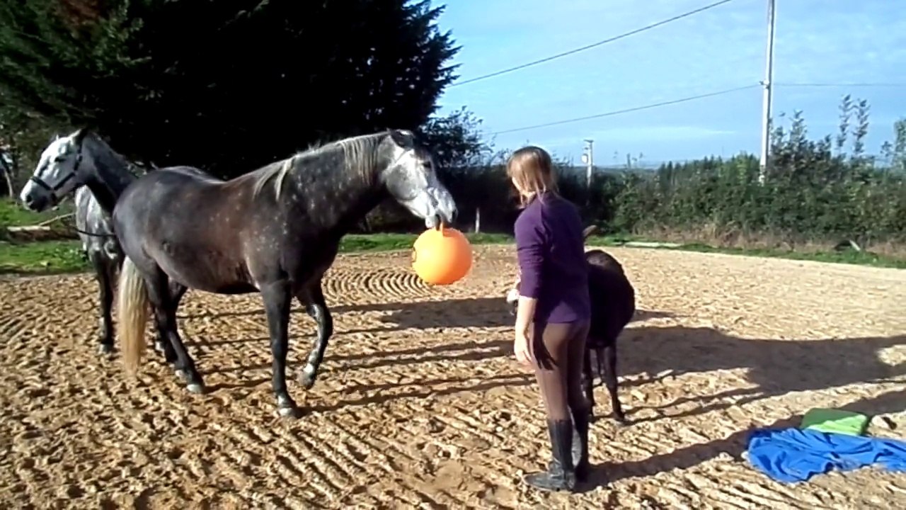 Thoranche joue avec le ballon (débuts)