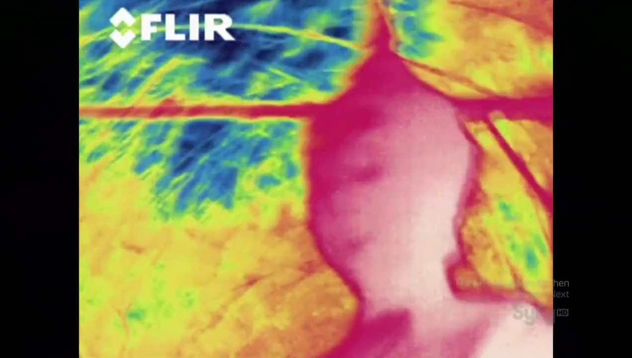 Dest-TruthS04E13- Thai Tree People - Aiya Napa Monster Cytu.be/r/SpookyShows