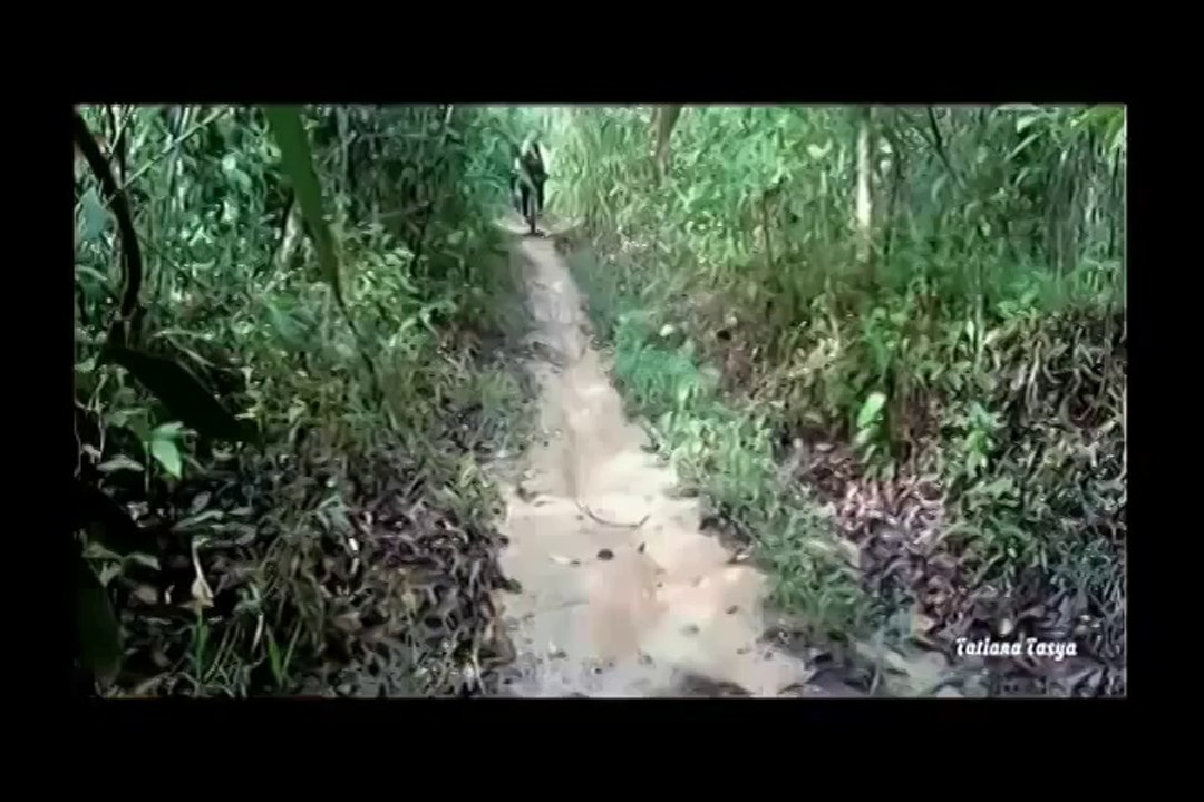Epic Fail_Win Compilation February 2014 - Best of New Fails - Wins # 9