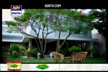Soteli Episode 23 on Ary Digital 25th October 2014 full episode