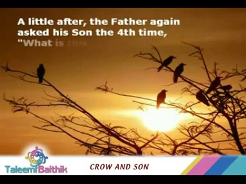 CROW AND SON