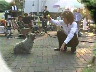 MOON- Moonlight Jellyfish DVD