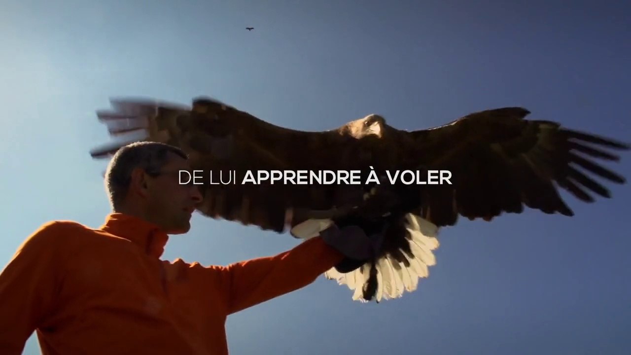 Freedom - L'envol d'un aigle
