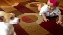 bebek ve köpeğin iletişimi