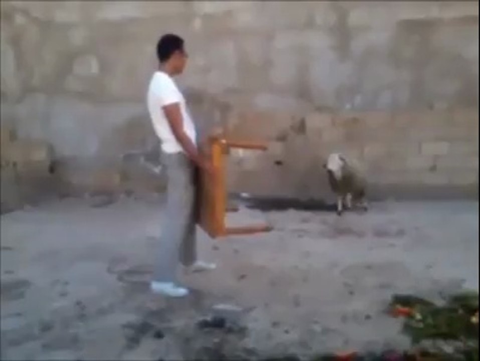 أقوى حولي لسنة 2014