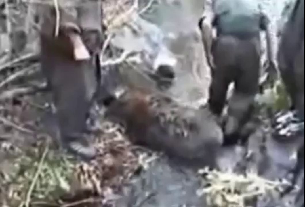 Hain PKK'lı Teröristler Bakın Ne Yiyor
