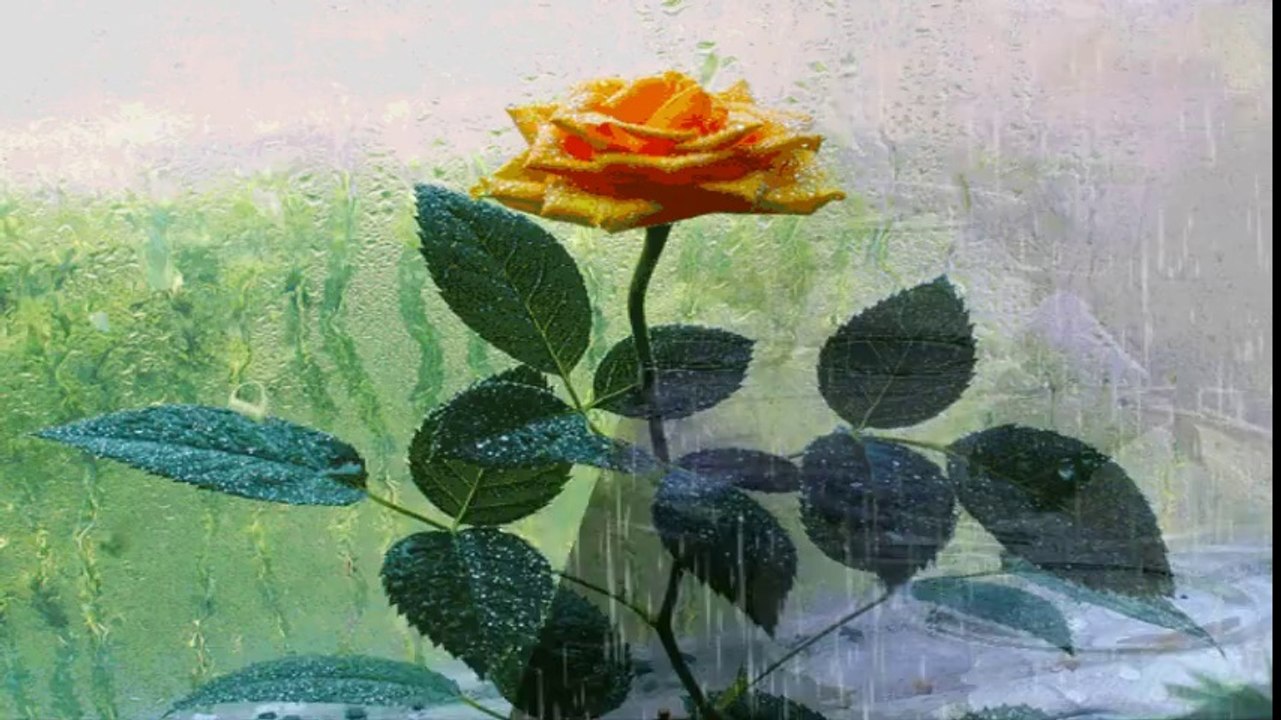 ♫♫ For You ♫♫