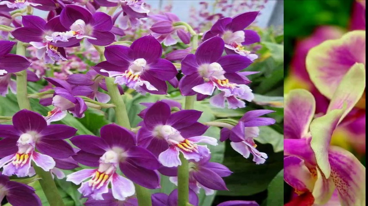 For You All ✿⊱╮
