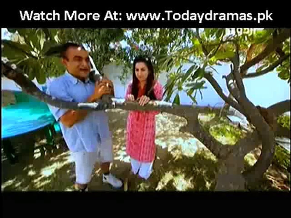 Cheetay Full Episode 20 – 25th October 2014