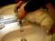 Une vidéo Tube de l'automne. un chaton boit au lavabo une mélodie très connu un tube de Vincent Lagaf il est beau le lavabo ! Vincent Lagaf' - Bo Le Lavabo (1989) Réalisation de Servan Année 2014