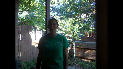 Understanding Soil Formation 🌱