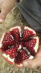 Nar böyle soyulur :)