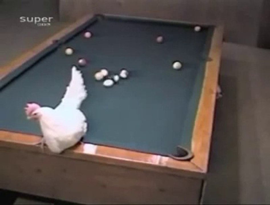 [+18 ~ Sexy Funny Girl]Funny Videos - Fail Compilation, Funny Pranks and Funny Cats Videos _ New Funny Video(42)