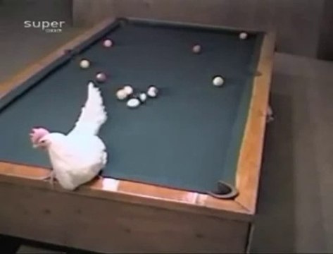 [+18 ~ Sexy Funny Girl]Funny Videos - Fail Compilation, Funny Pranks and Funny Cats Videos _ New Funny Video(42)