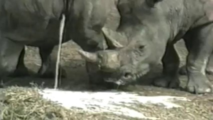 [+18 ~ Sexy Funny Girl]Best Super Bowl Commercial 2014