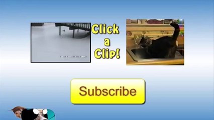 [+18 ~ Sexy Funny Girl]Little Dog Ruins Carpet